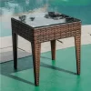 Outdoor swimming pool rattan bed (11)