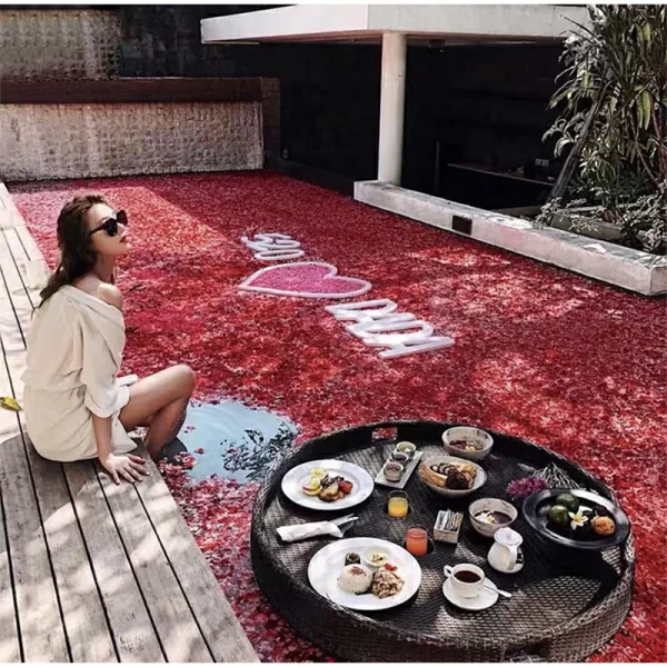 Pool Floating Plate Water Breakfast Tray (4)