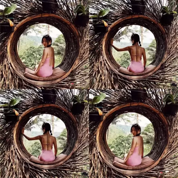 ratten woven hammock, bird's nest swing (2)