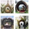 ratten woven hammock, bird's nest swing (3)