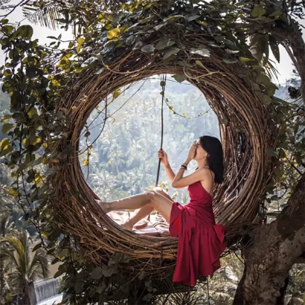 ratten woven hammock, bird's nest swing (4)