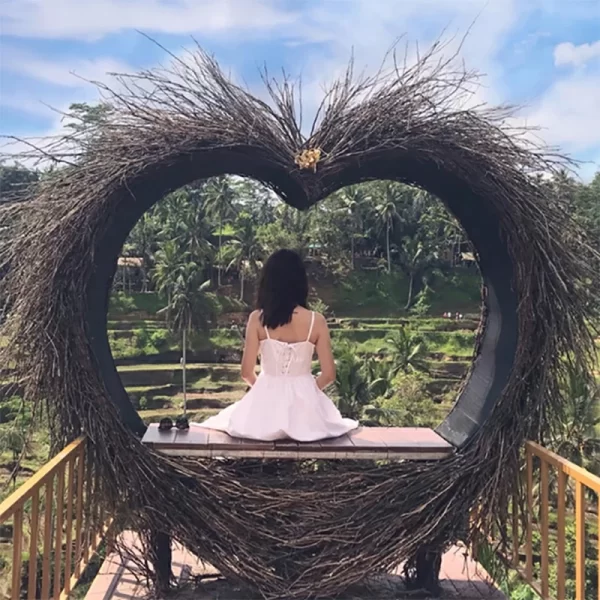 ratten woven hammock, bird's nest swing (7)