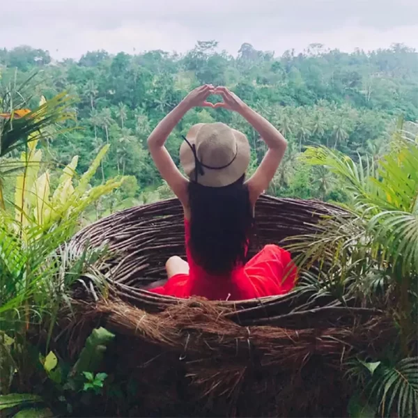 ratten woven hammock, bird's nest swing (8)